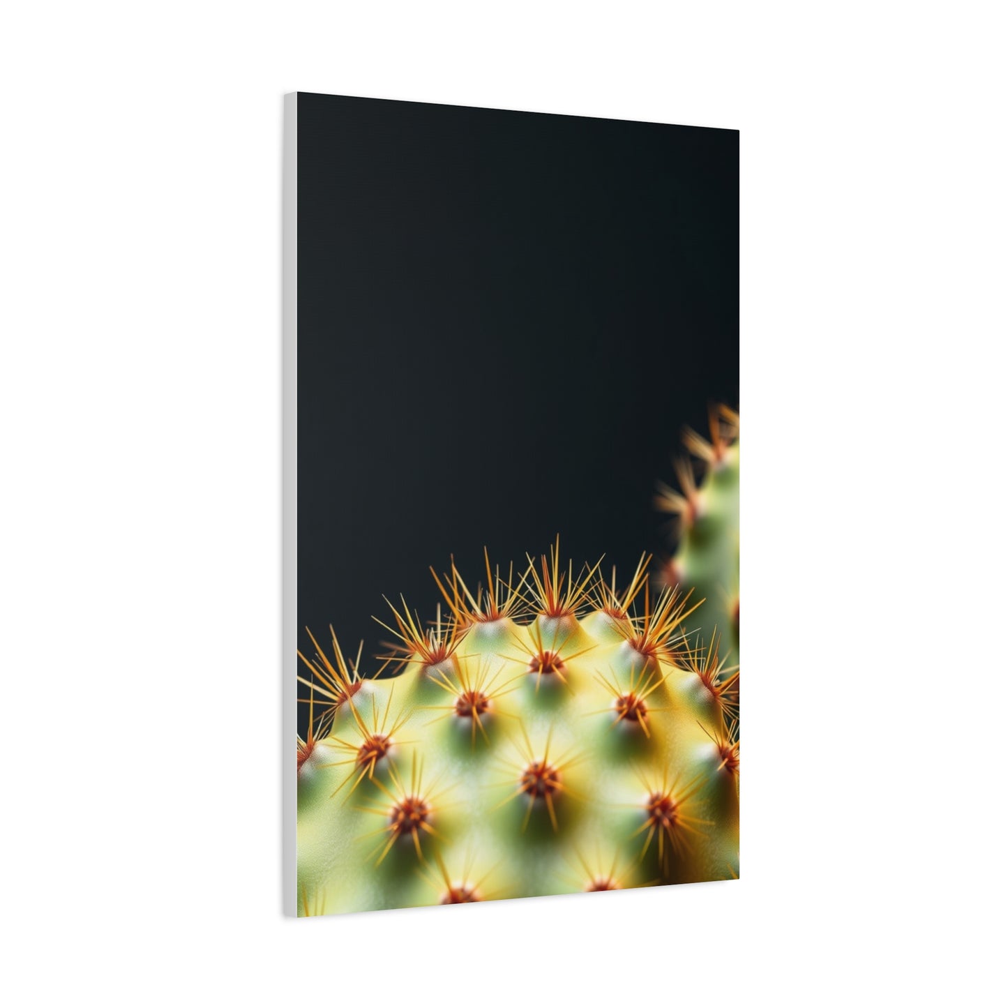 Prickly Grace Gallery Wall Art & Canvas Print