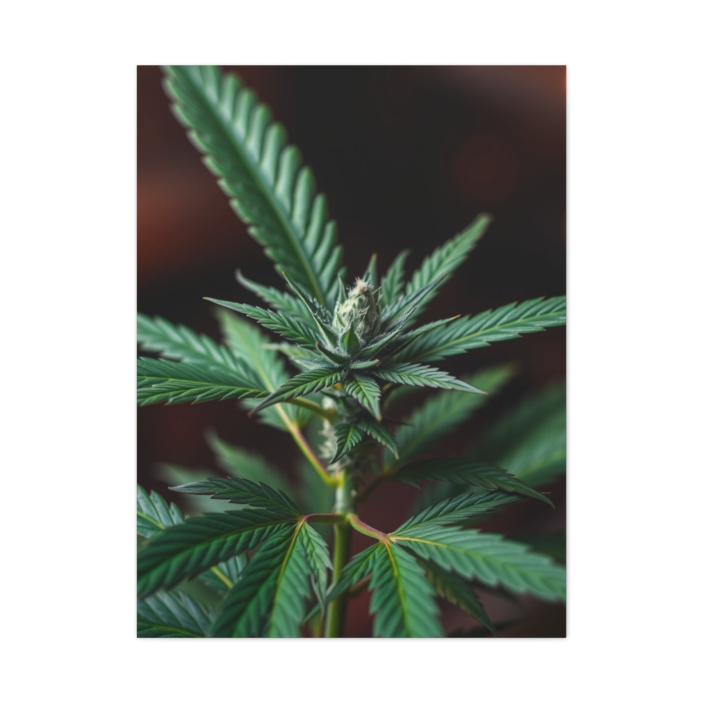 Marijuana Art Premium Canvas 20 Wall Art & Canvas Print