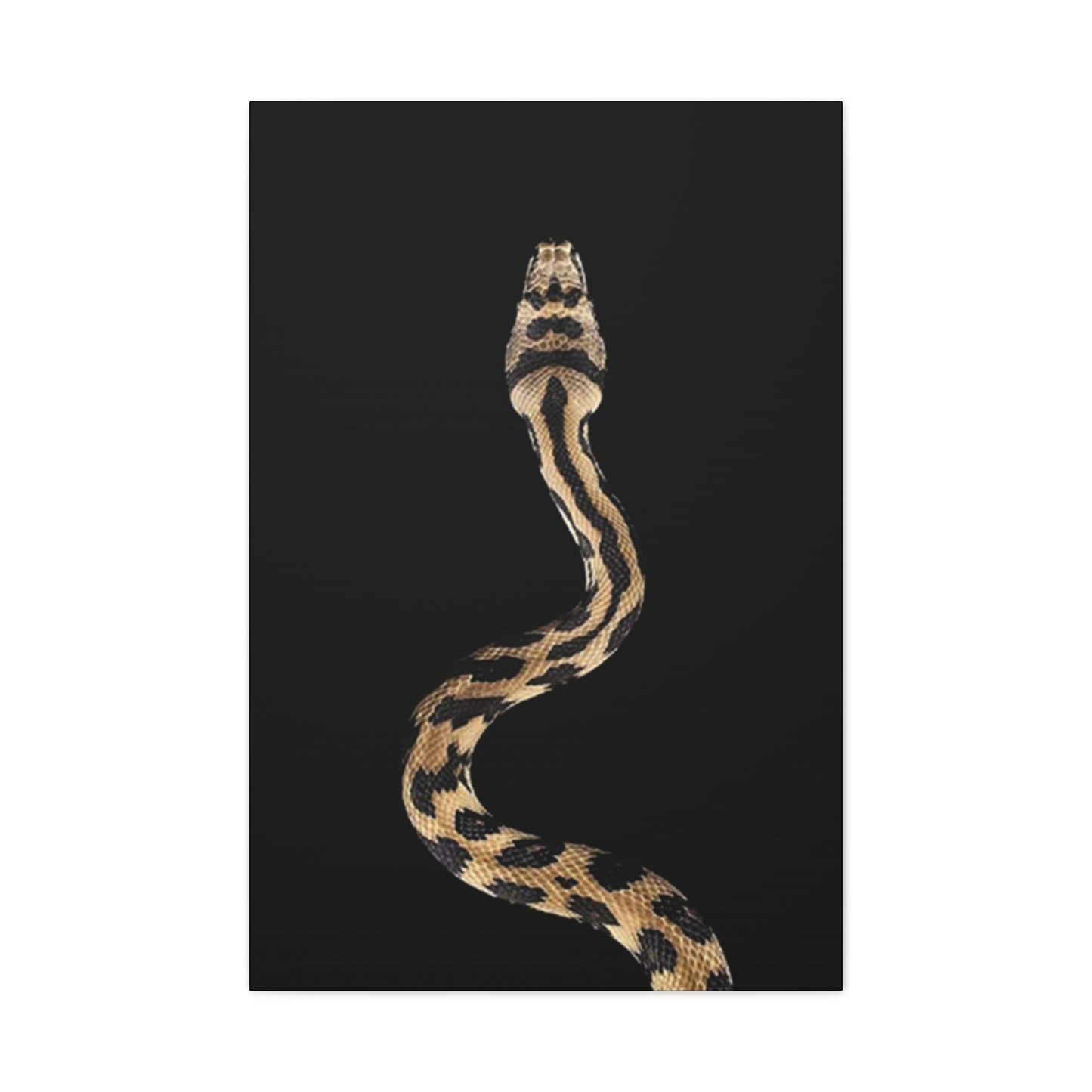 Snake On Poster Wall Art & Canvas Prints