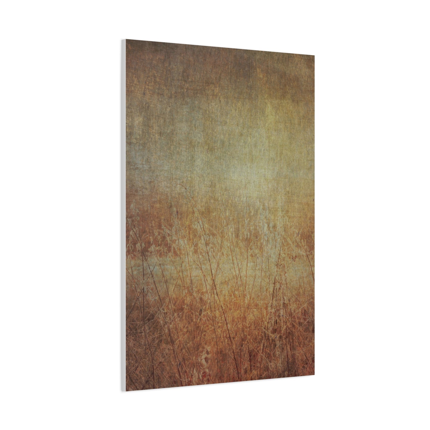 Golden Fields Wall Art & Canvas Prints