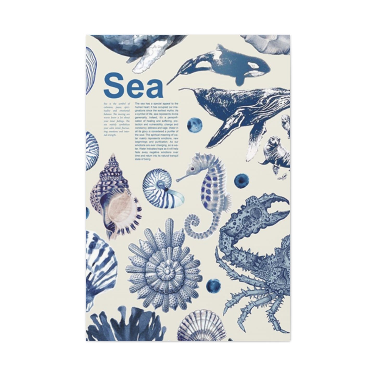 Beautiful Sea Creatures Poster Wall Art & Canvas Prints