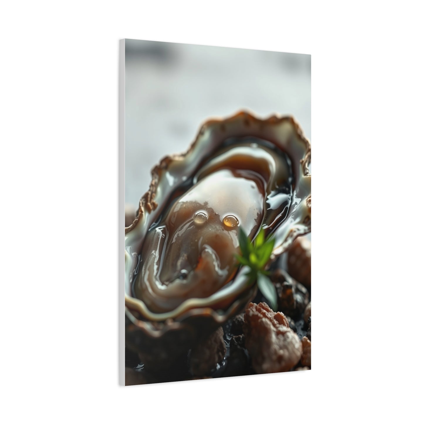 Oyster Art Canvas Art 1 Wall Art & Canvas Print