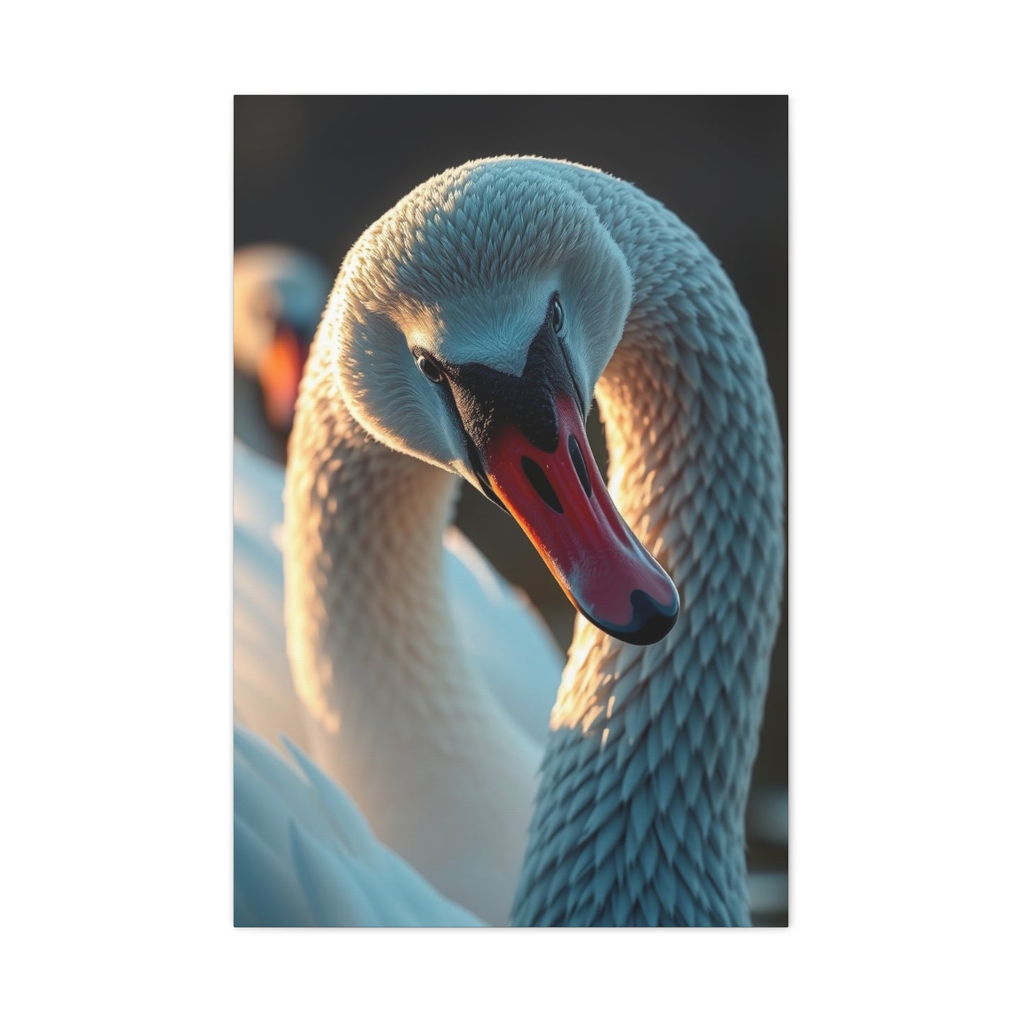 Swan Art Canvas Art 7 Wall Art & Canvas Print
