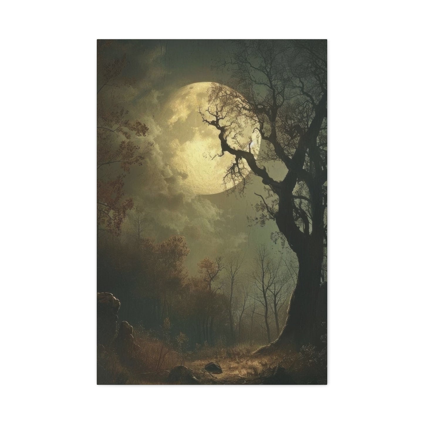 Moon At Night Dark Academia Wall Art & Canvas Prints