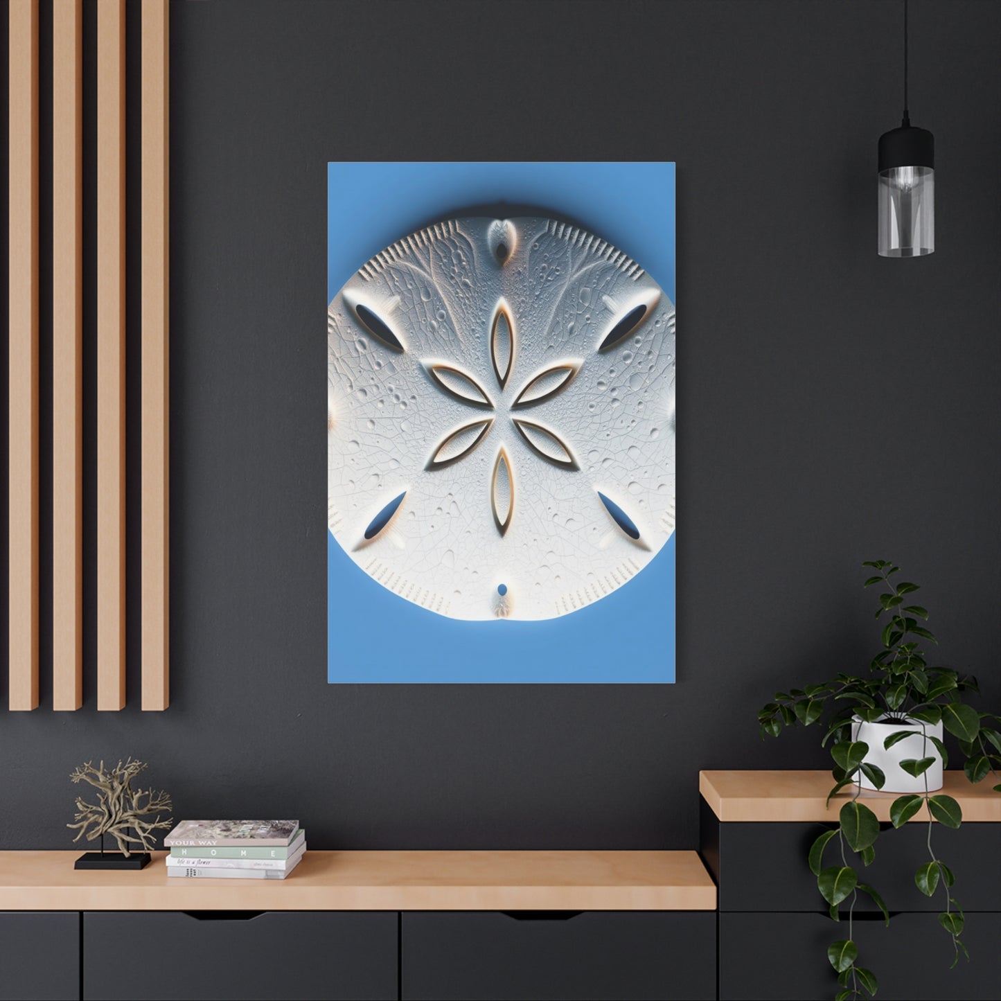 Sand Dollar Art Supreme Canvas Wall Art & Canvas Print