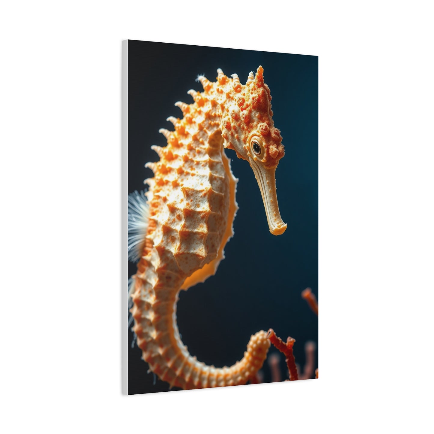 Seahorse Art Canvas Art 3 Wall Art & Canvas Print