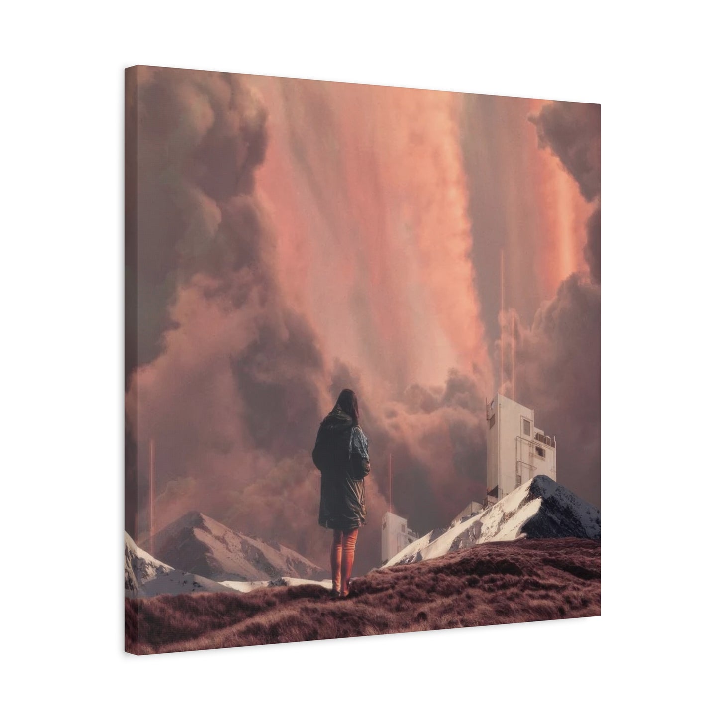 Frank Moth Epiphany Wall Art & Canvas Prints