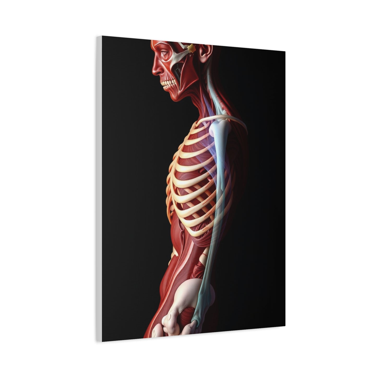 Supreme Art Collection Anatomy Wall Art & Canvas Print