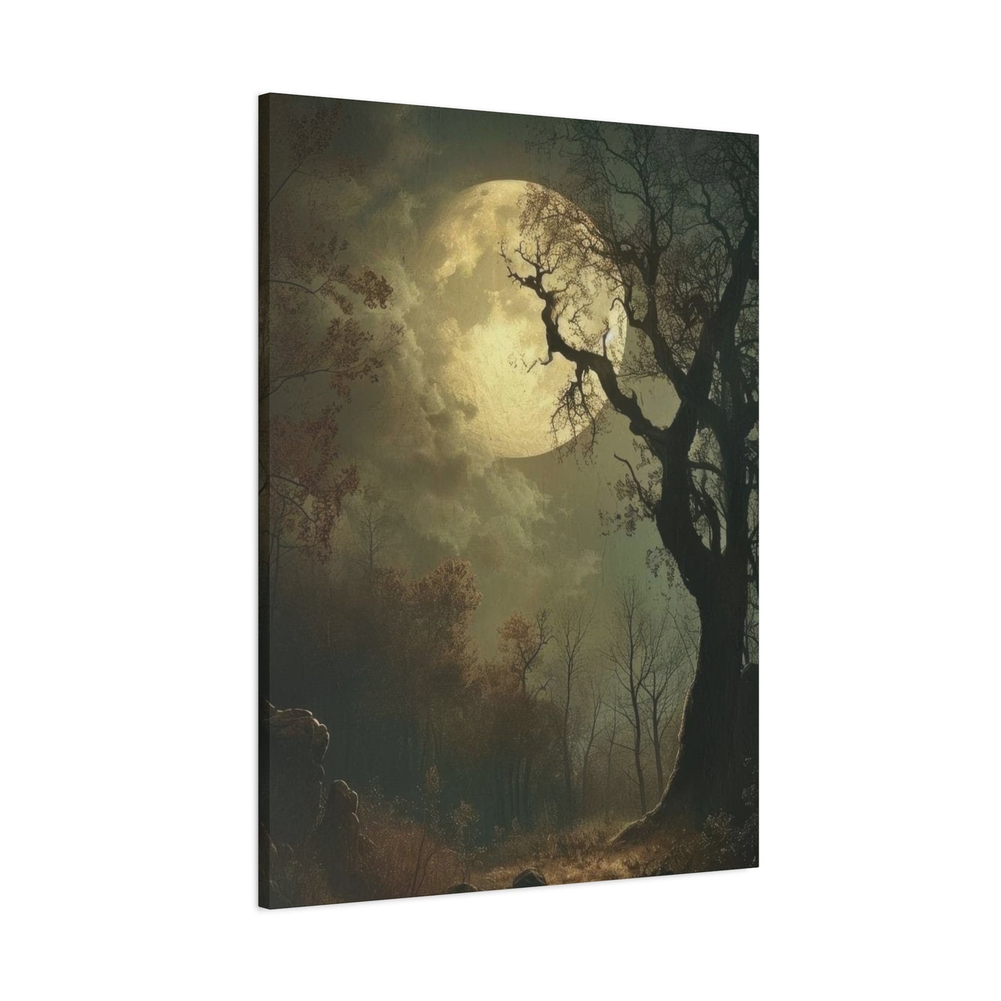 Moon At Night Dark Academia Wall Art & Canvas Prints