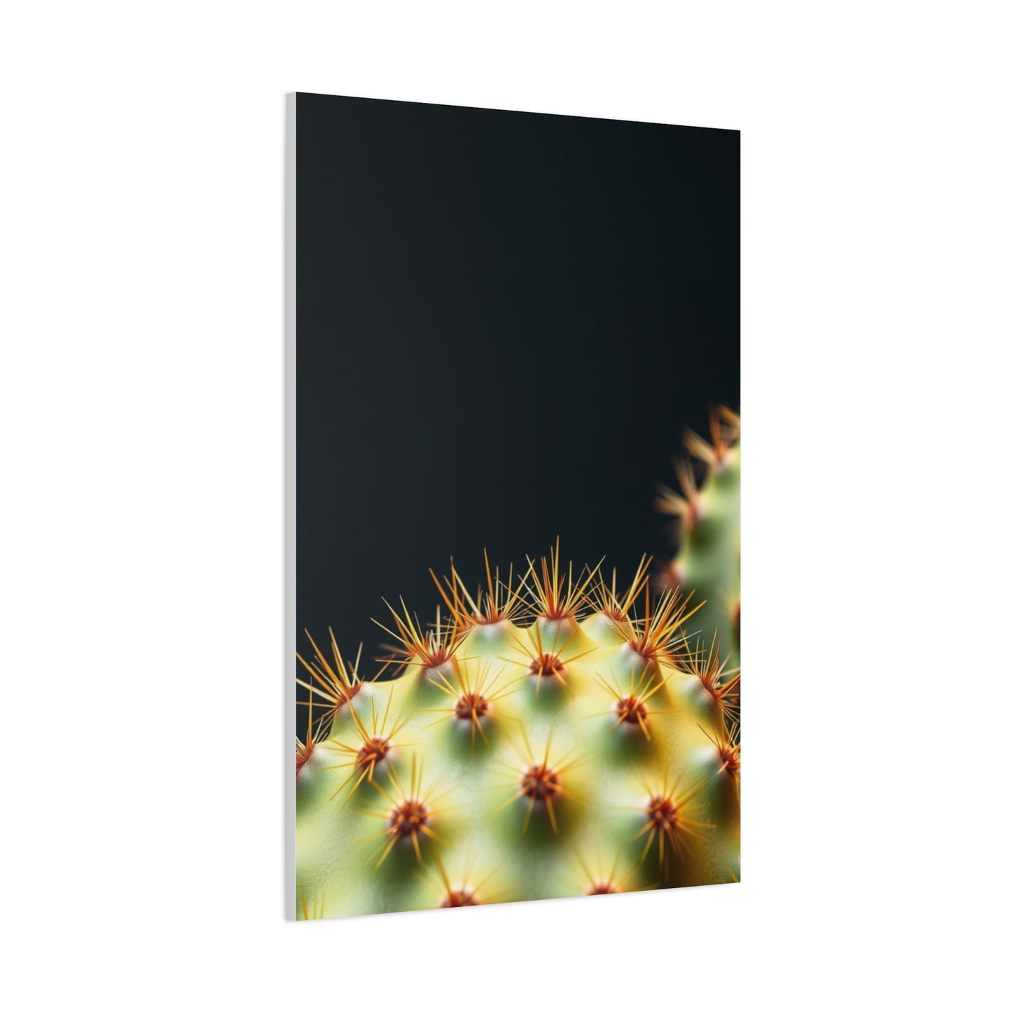 Prickly Grace Gallery Wall Art & Canvas Print