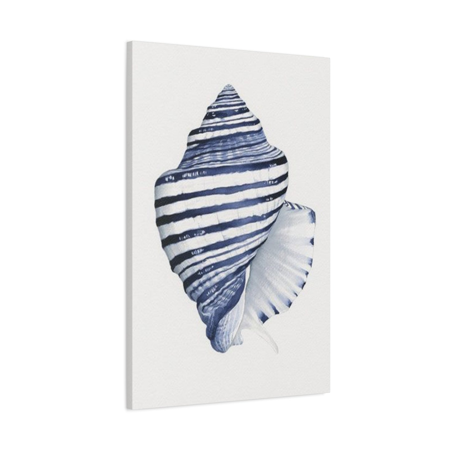 Blue & White Shell Drawing Wall Art & Canvas Prints