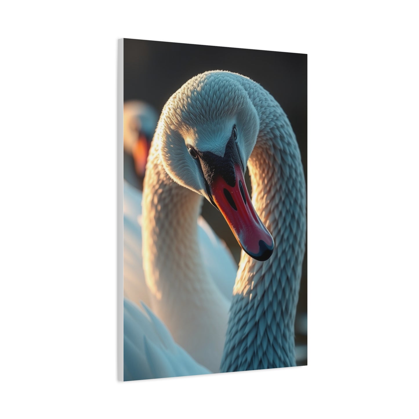 Swan Art Canvas Art 7 Wall Art & Canvas Print