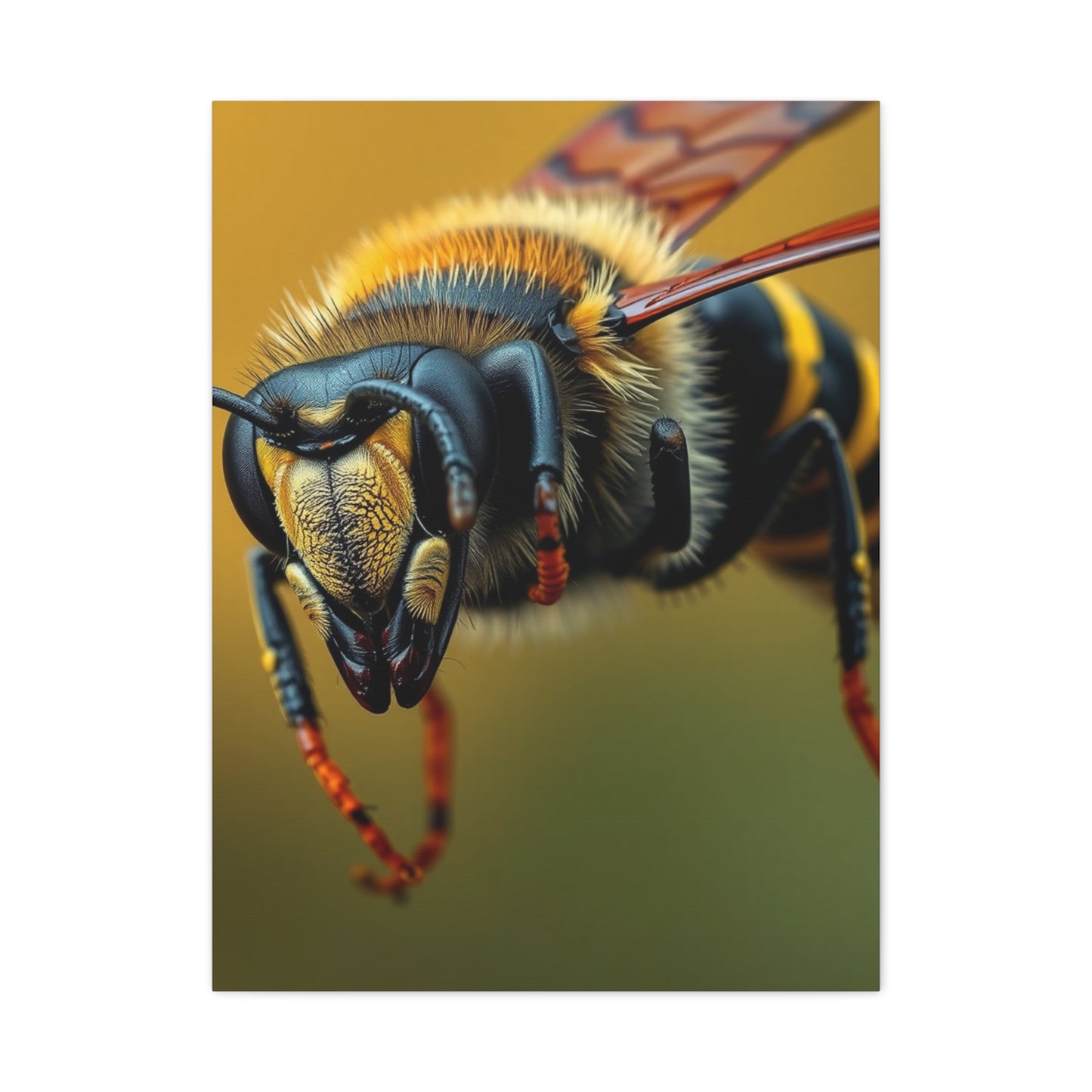 Bees, Hornet & Wasps Art Canvas Art 1 Wall Art & Canvas Print