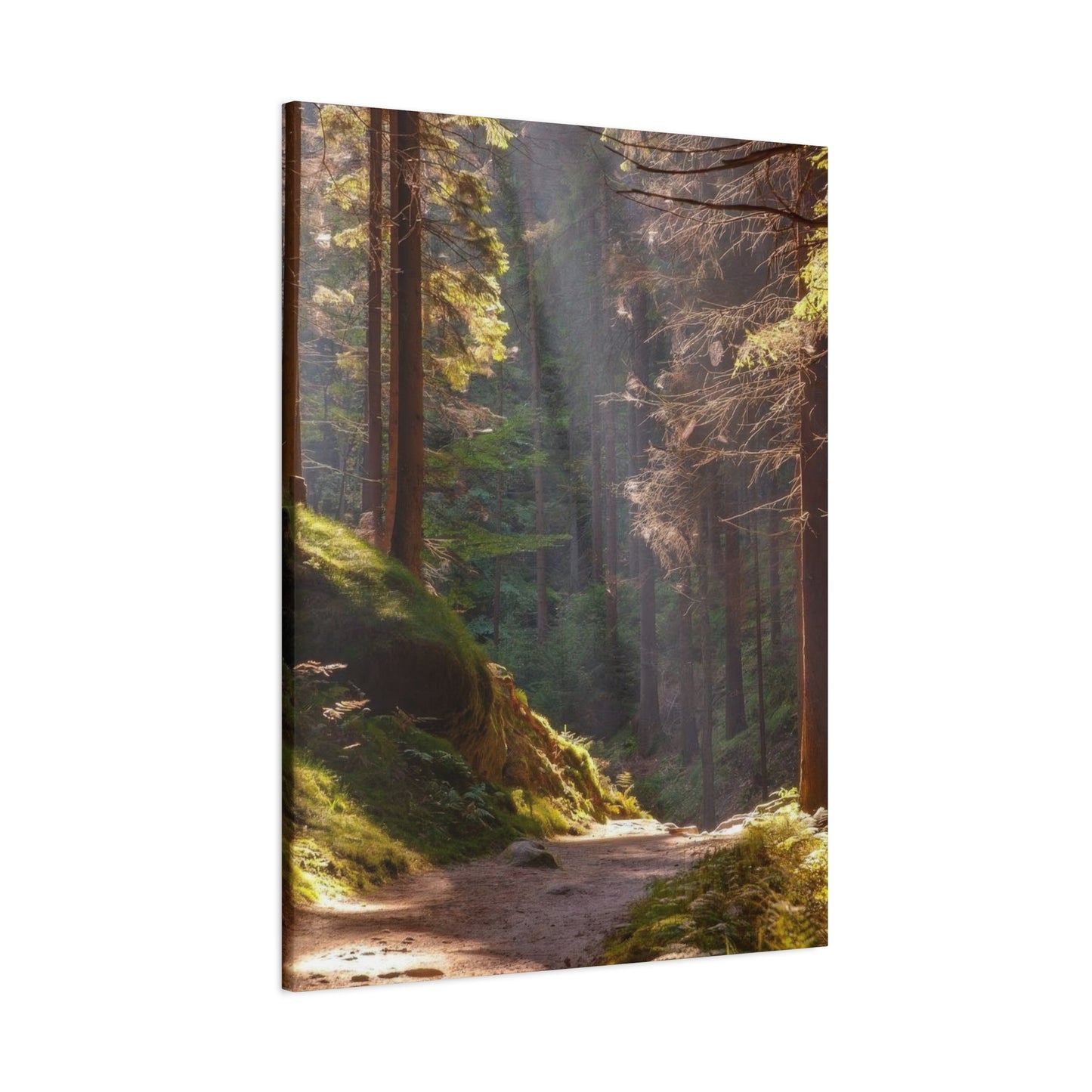 Autumn Forest Path Wall Art & Canvas Prints
