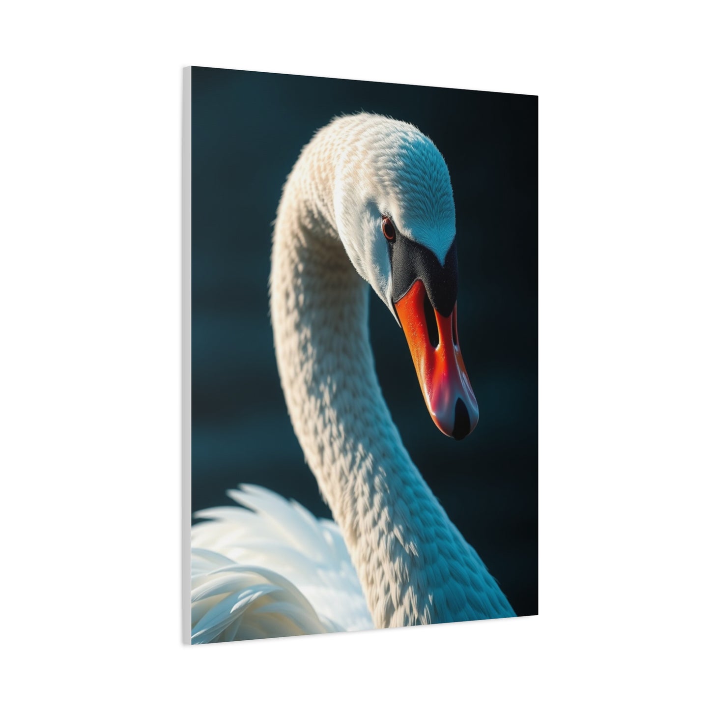 Swan Art Canvas Art 8 Wall Art & Canvas Print