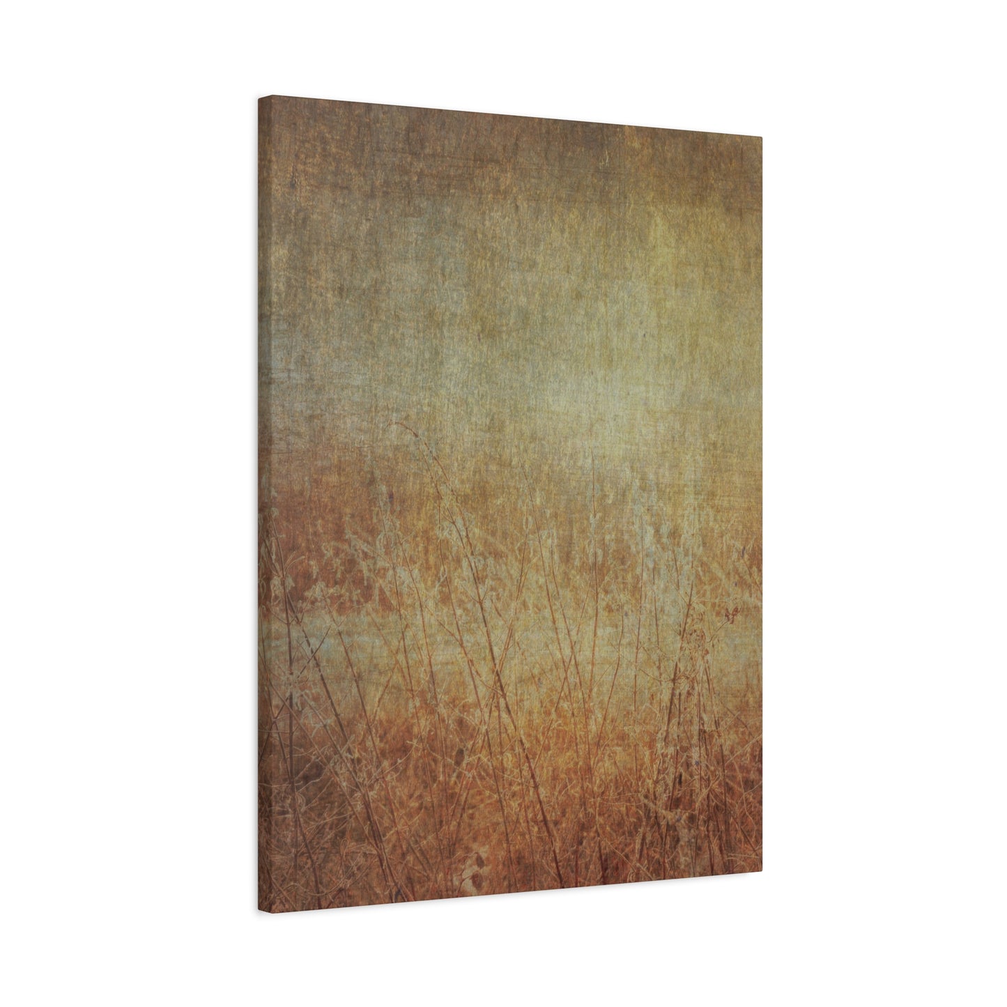 Golden Fields Wall Art & Canvas Prints