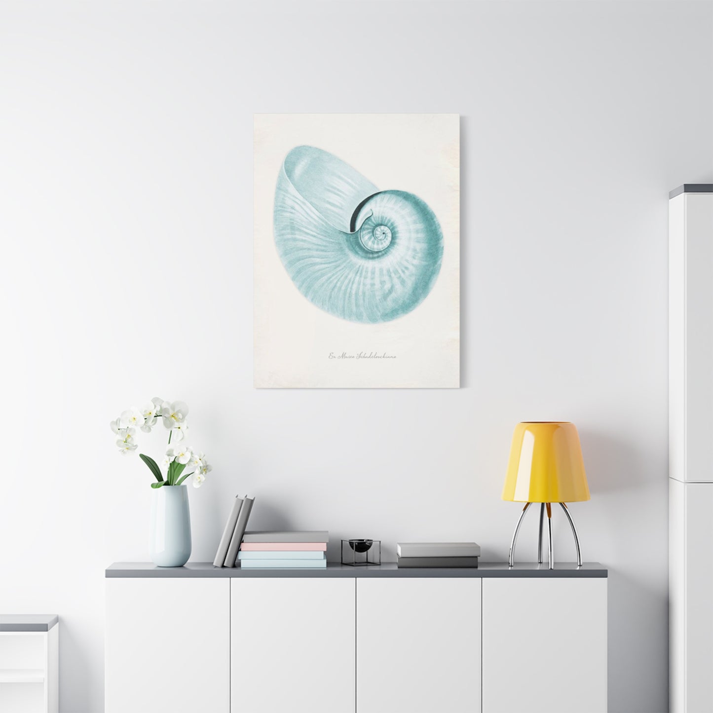Beautiful Blue Shell Shapes Wall Art & Canvas Prints