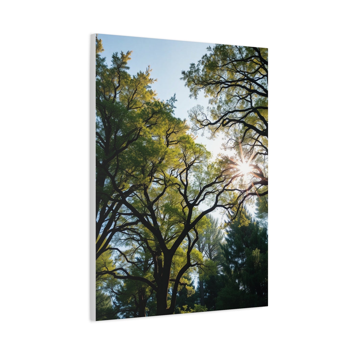 Timeless Woodland Tapestry Wall Art & Canvas Print