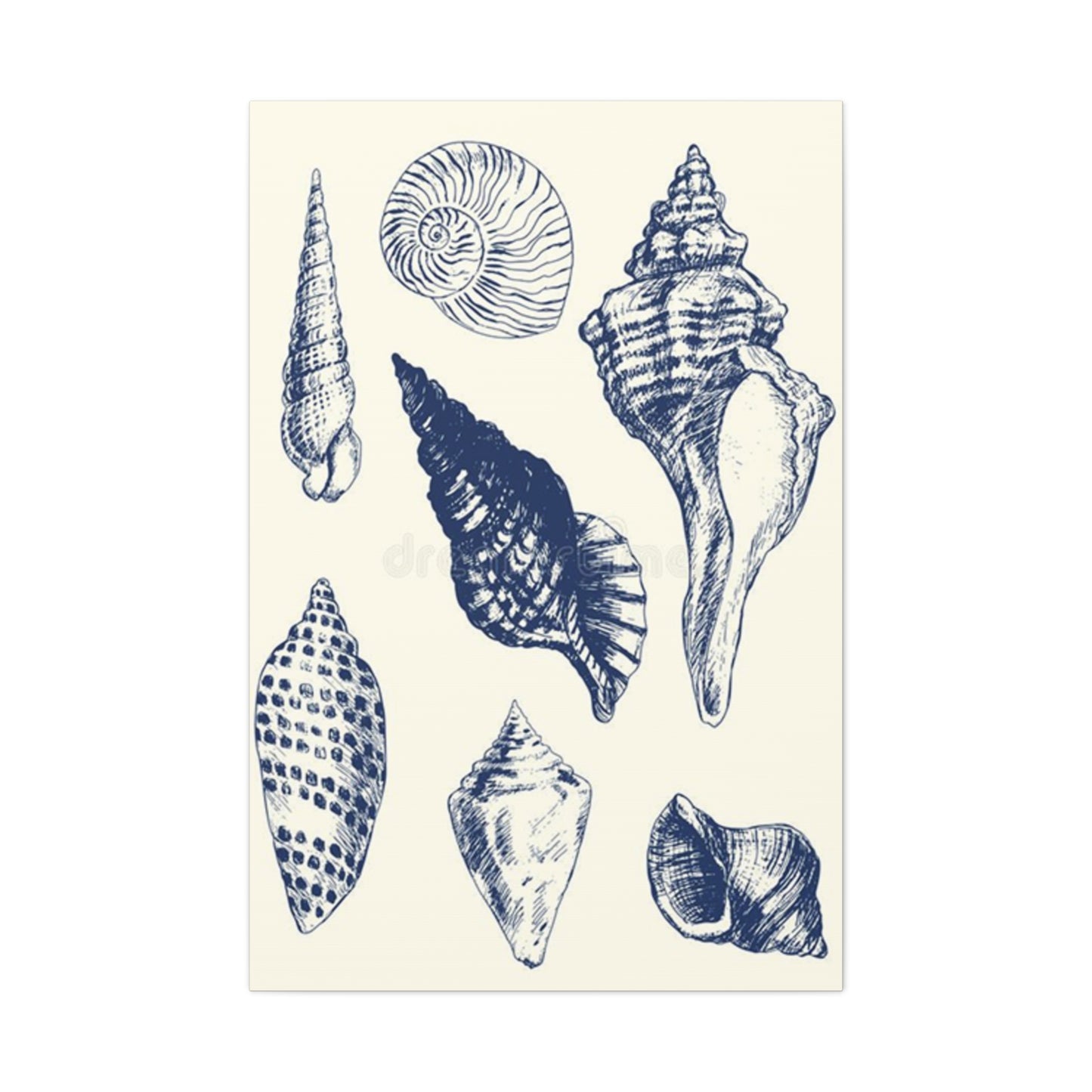 Blue Different Shell Shapes Drawing Wall Art & Canvas Prints