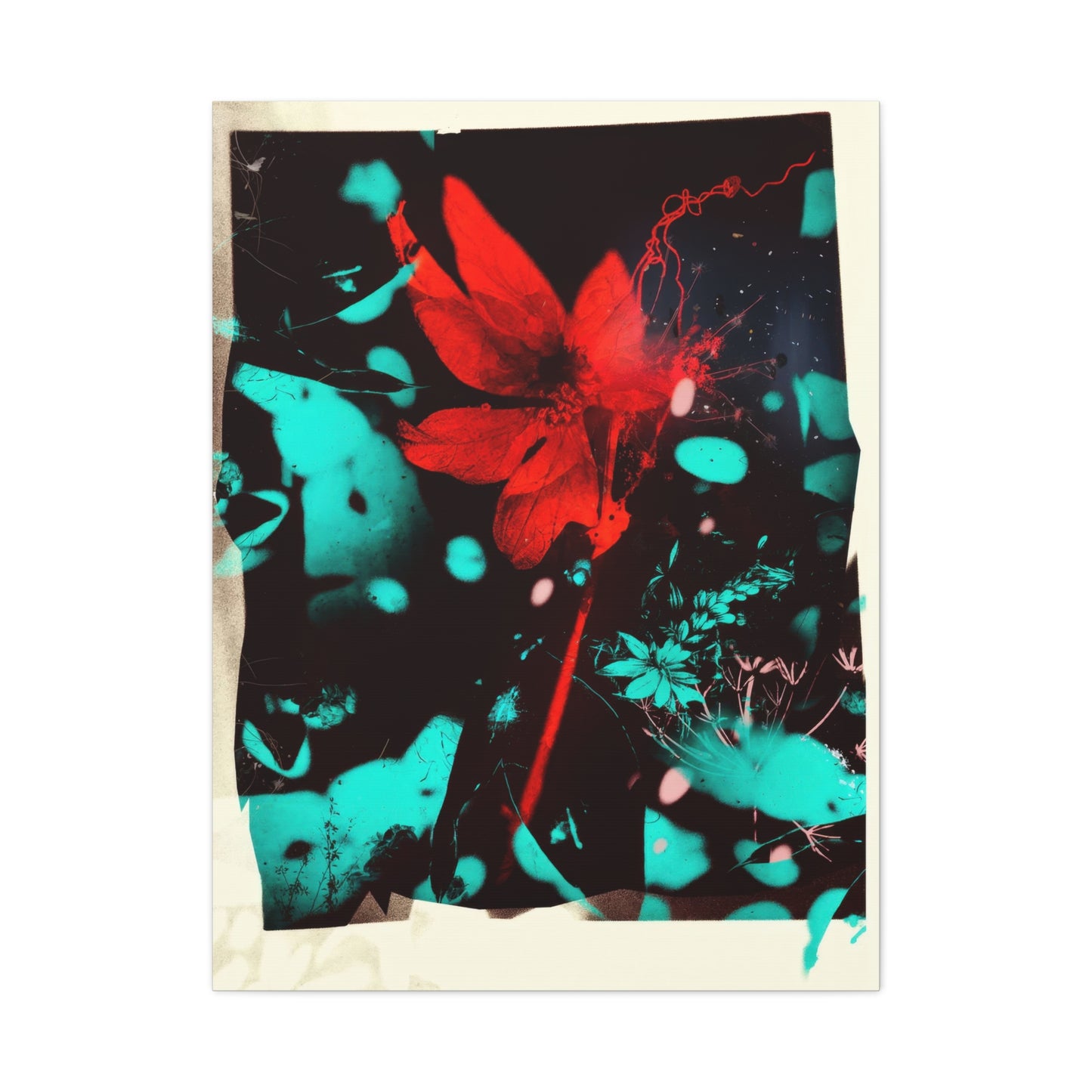 Crimson Burst Wall Art & Canvas Prints