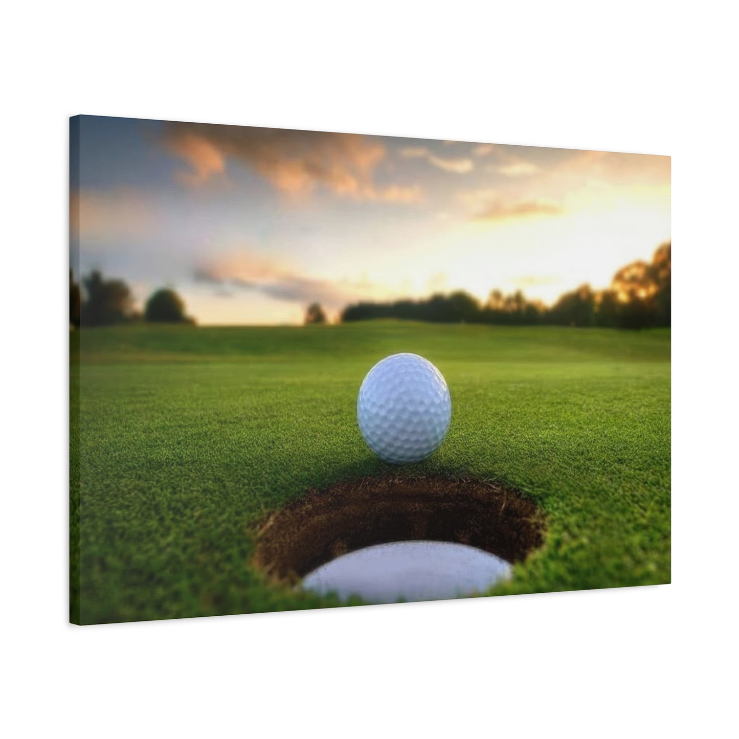 Golf Ball Cup Closeup Wall Art & Canvas Prints
