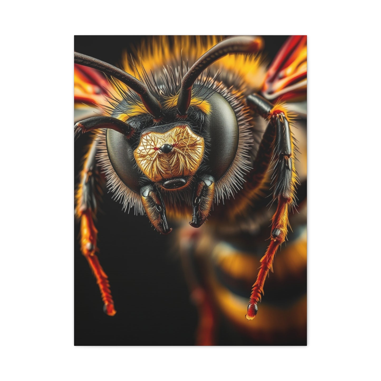 Bees, Hornet & Wasps Art Canvas Art 3 Wall Art & Canvas Print