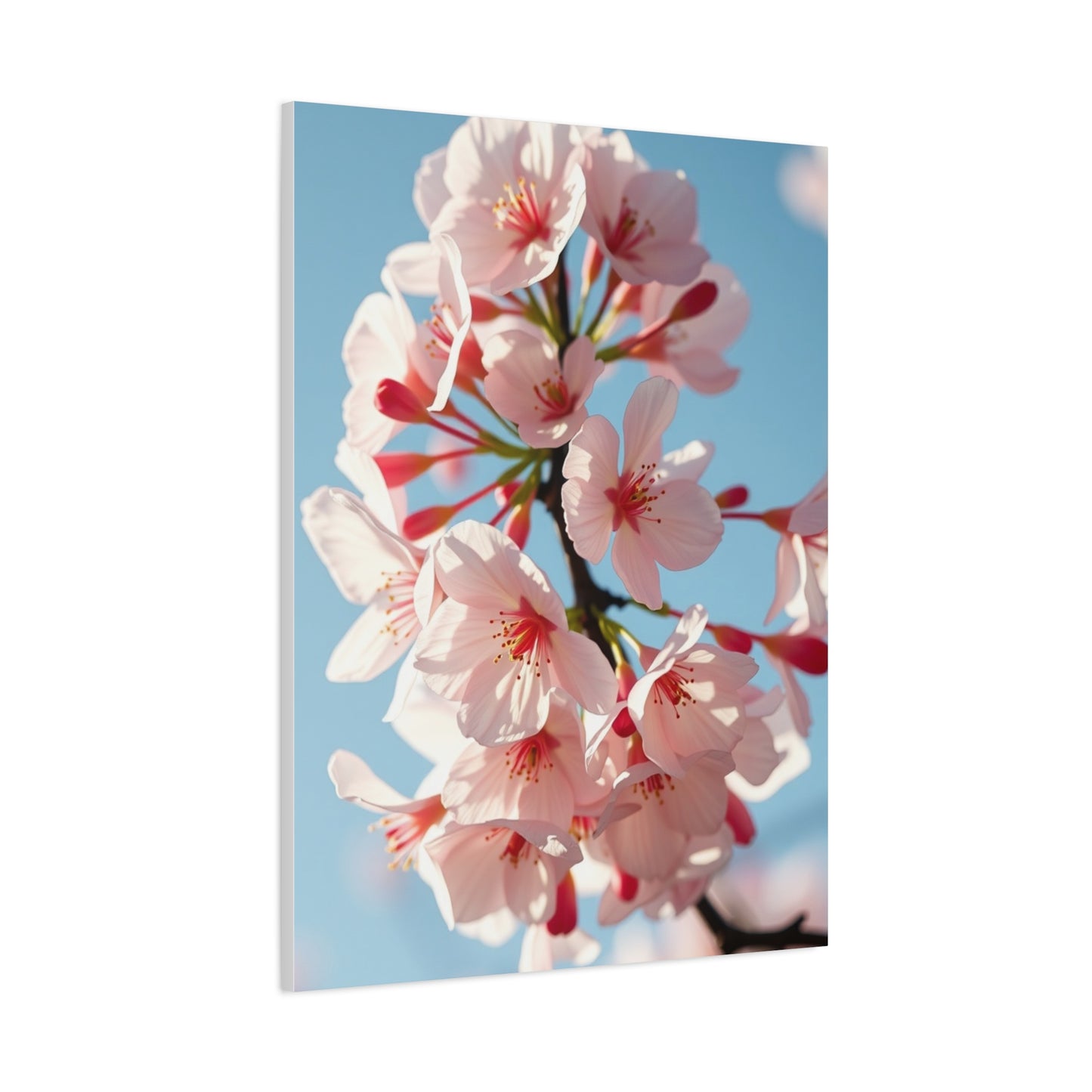 Sakura Elegance Canvas Wall Art & Canvas Print