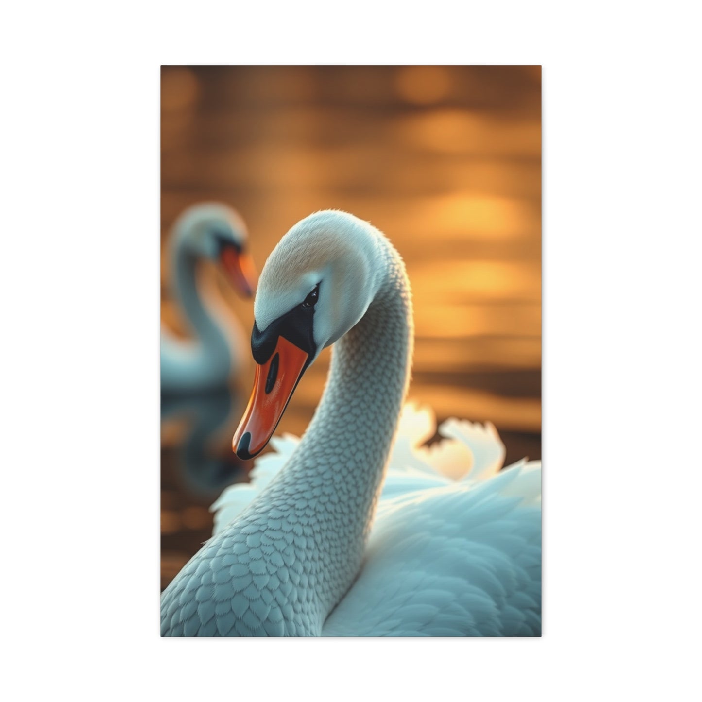Swan Art Canvas Art 2 Wall Art & Canvas Print
