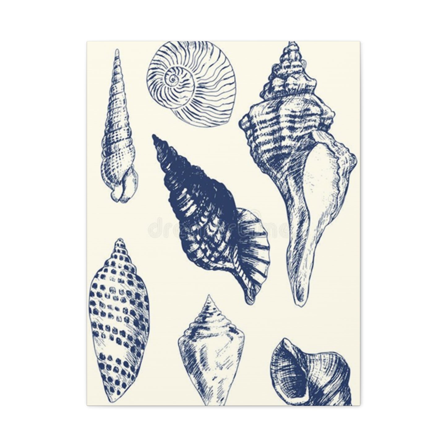 Blue Different Shell Shapes Drawing Wall Art & Canvas Prints