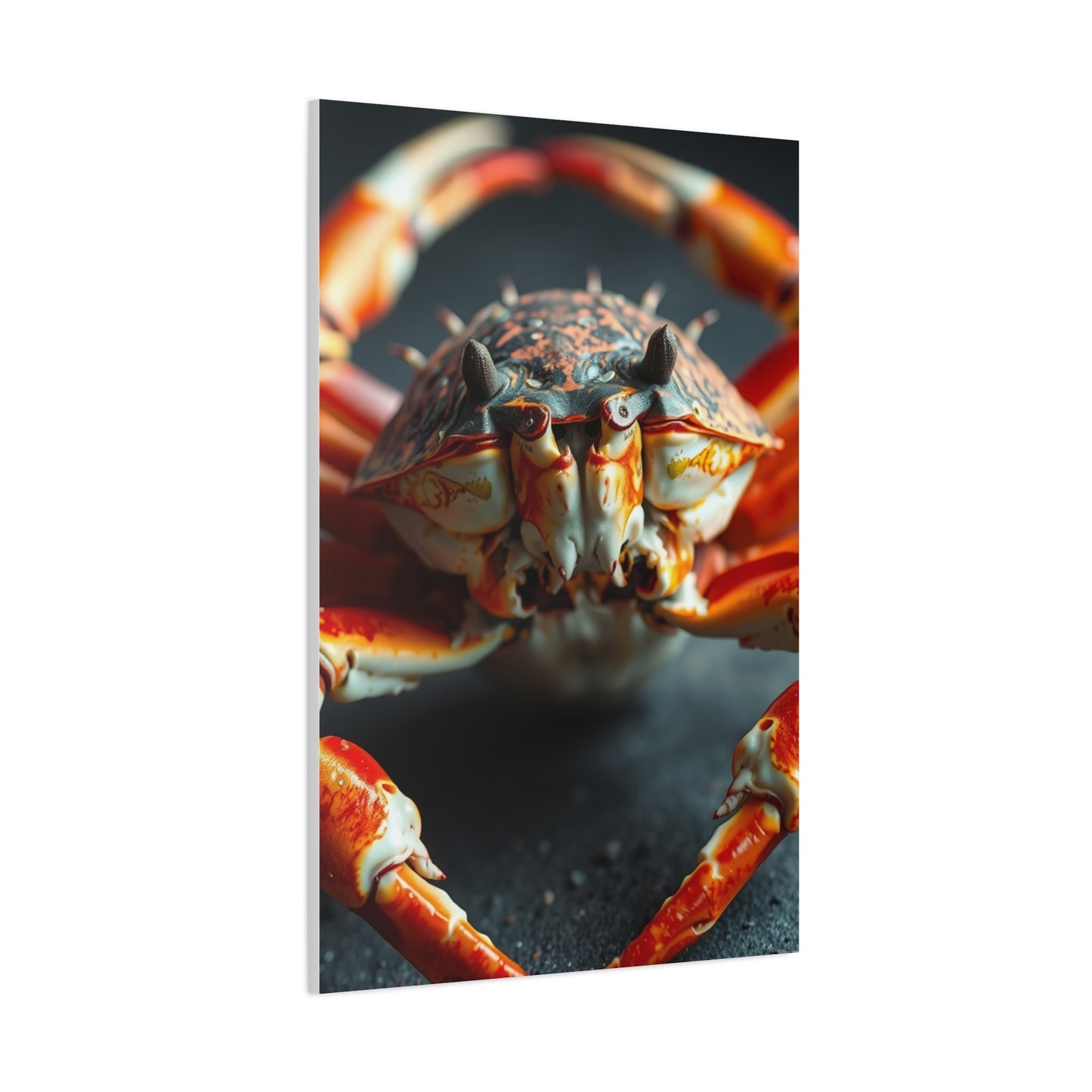 Regal Shell Symphony Art Wall Art & Canvas Print