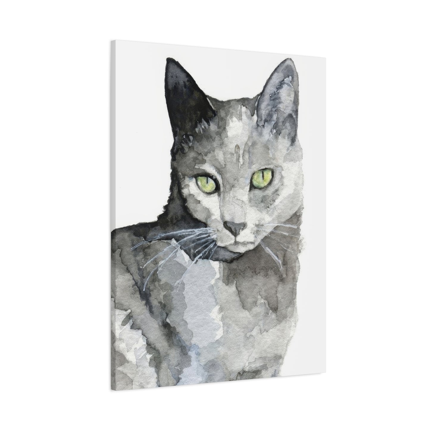Cat Grey Wall Art & Canvas Prints