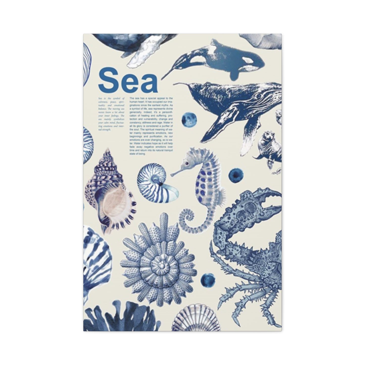 Beautiful Sea Creatures Poster Wall Art & Canvas Prints