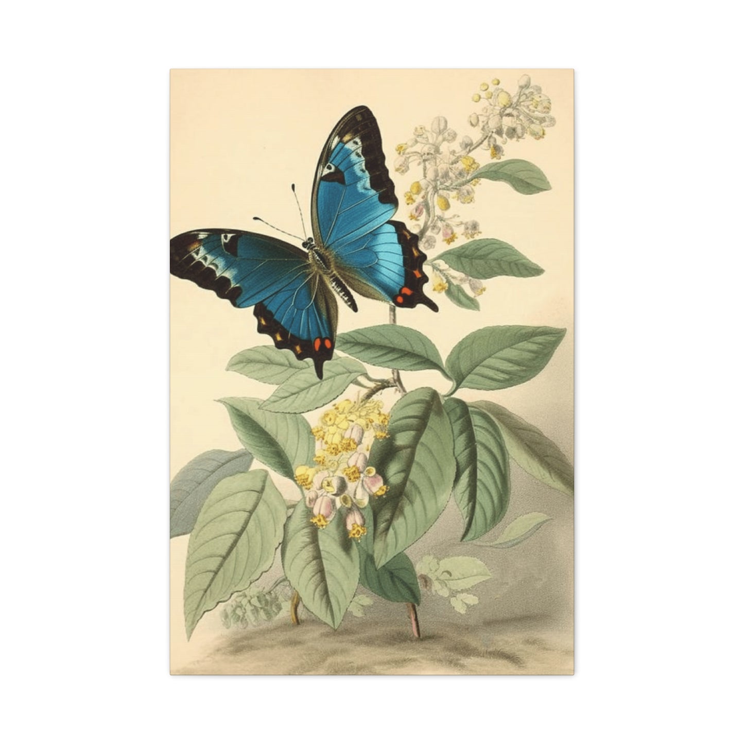 Butterfly on Brown Background Wall Art & Canvas Prints