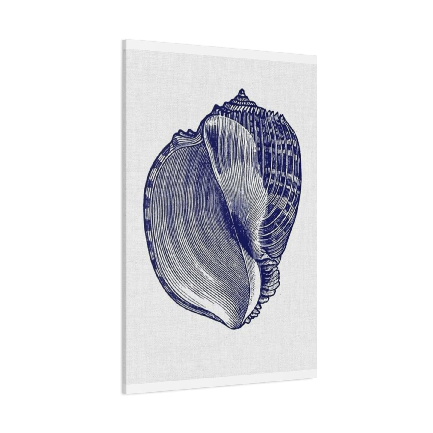 Beautiful Blue Shell Shape Drawing Wall Art & Canvas Prints