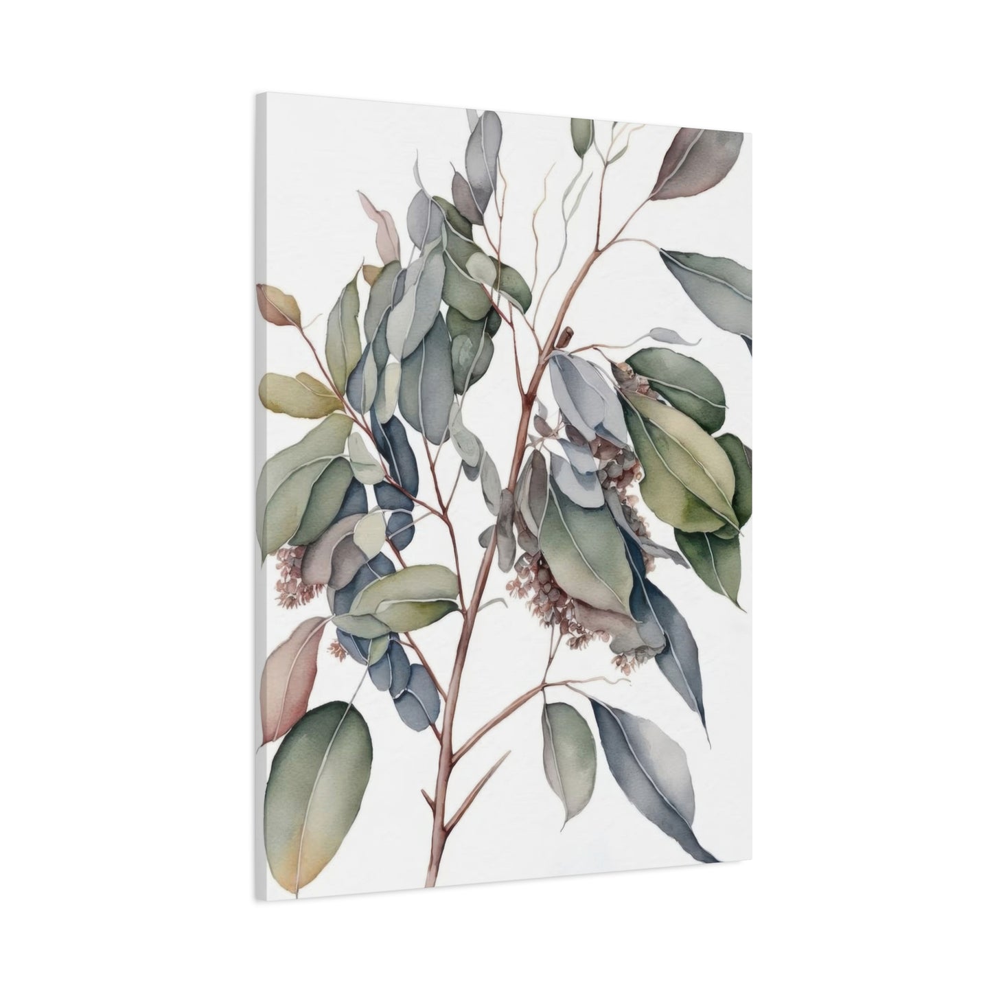 Eucalyptus Australian 2 Wall Art & Canvas Prints