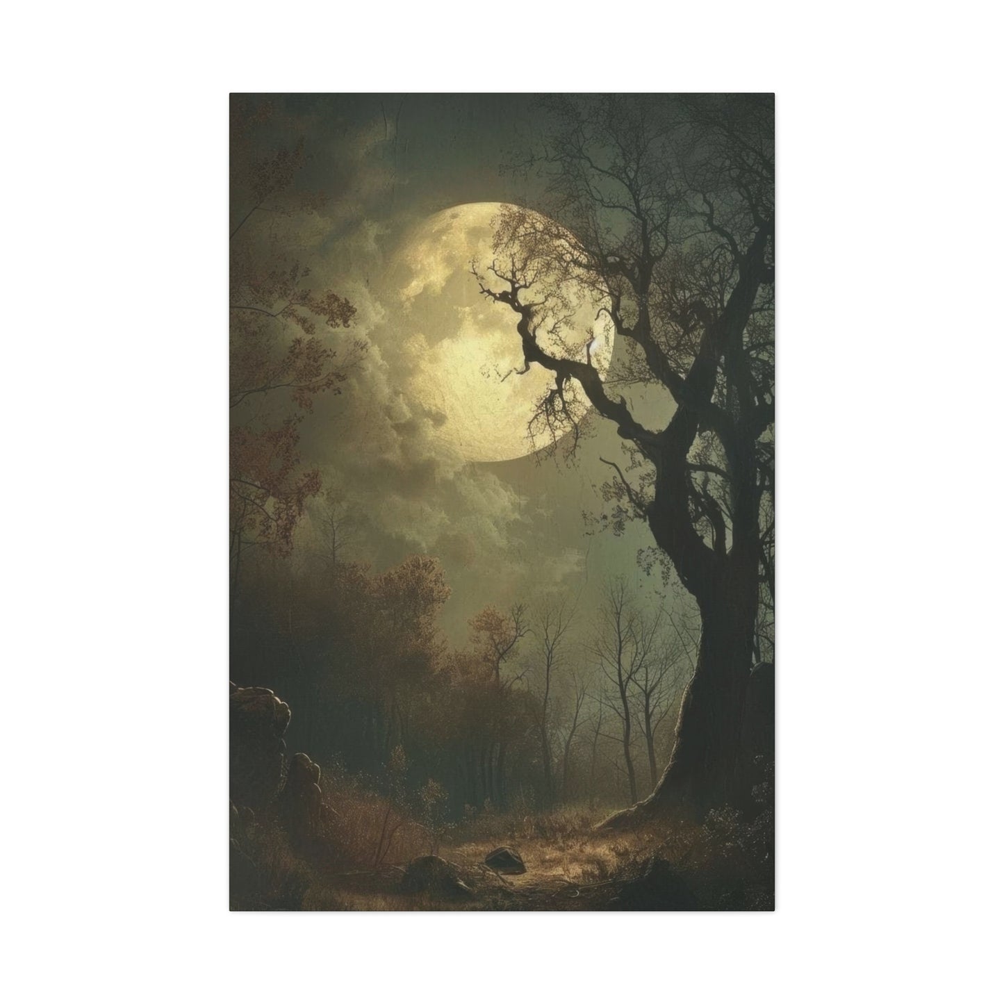 Moon At Night Dark Academia Wall Art & Canvas Prints