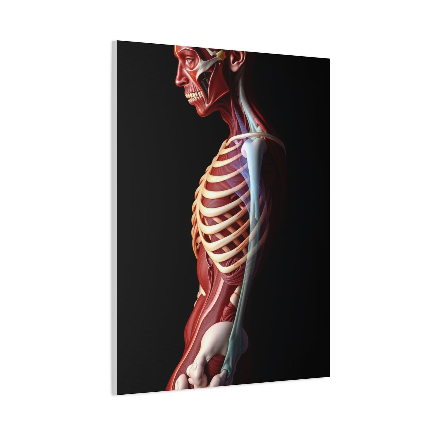 Supreme Art Collection Anatomy Wall Art & Canvas Print