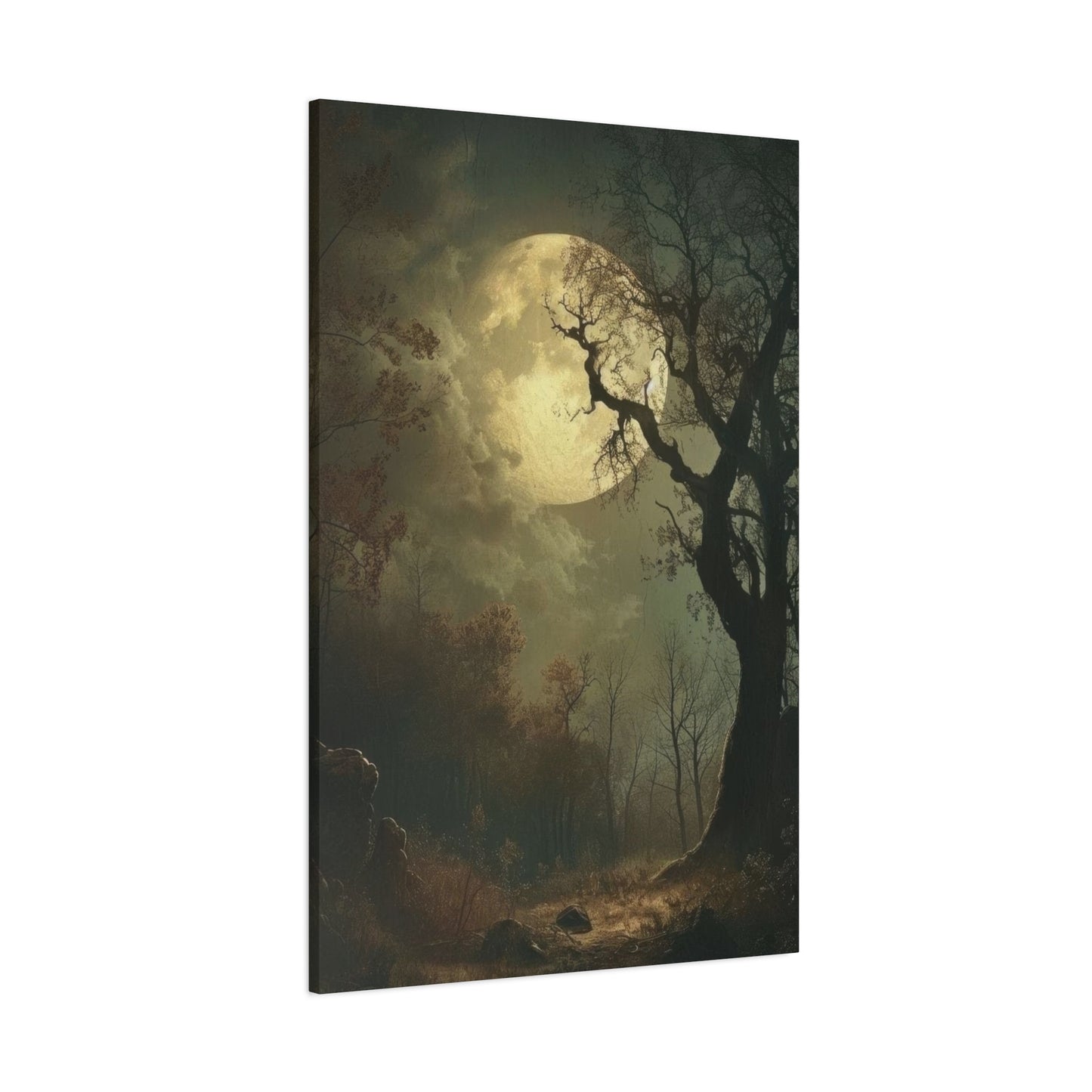 Moon At Night Dark Academia Wall Art & Canvas Prints