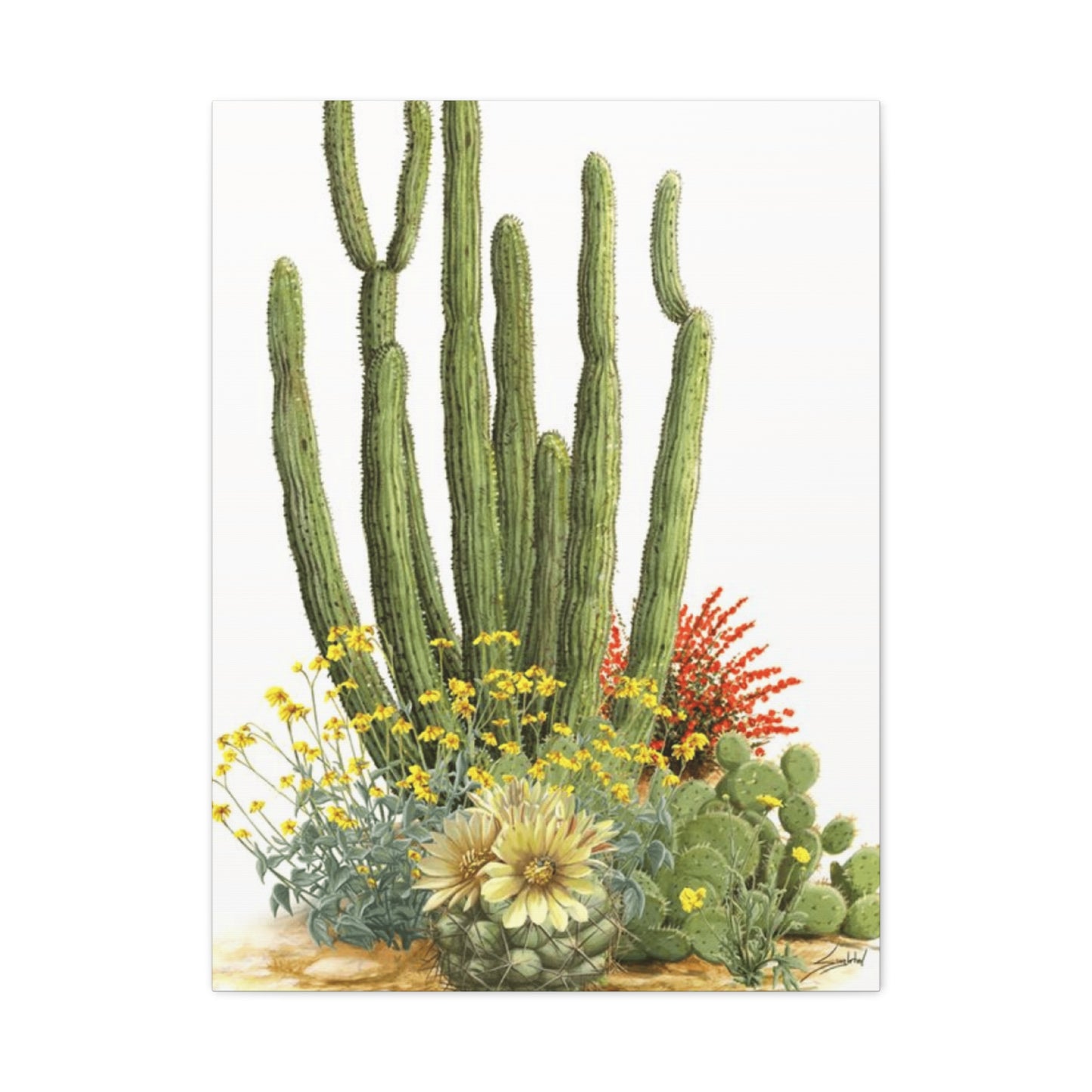 Cacti and Flowers Wall Art & Canvas Prints