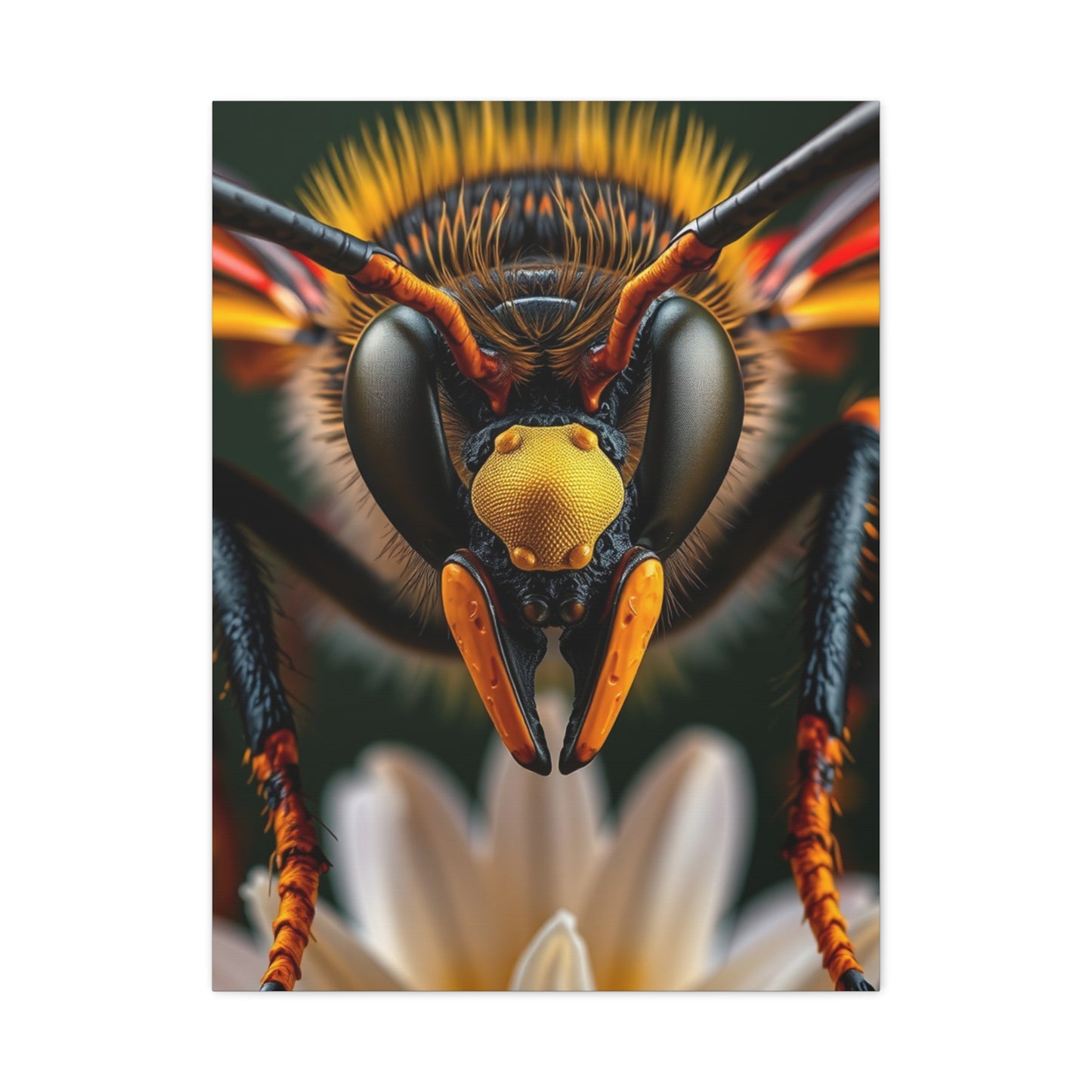 Bees, Hornet & Wasps Art Canvas Art 2 Wall Art & Canvas Print