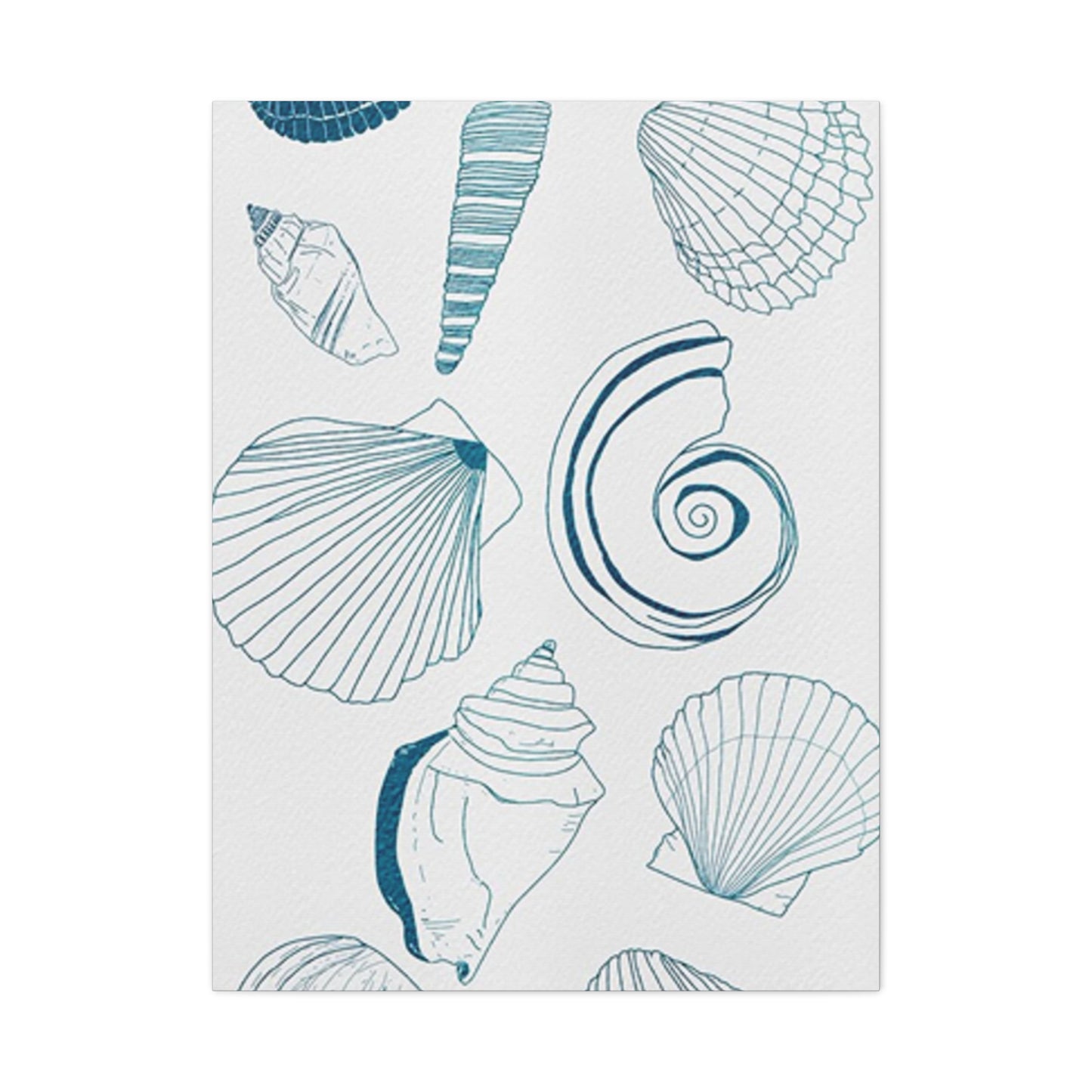 Beautiful Sea Shells Poster Wall Art & Canvas Prints