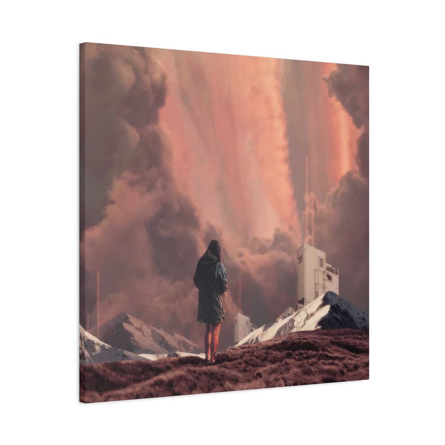 Frank Moth Epiphany Wall Art & Canvas Prints