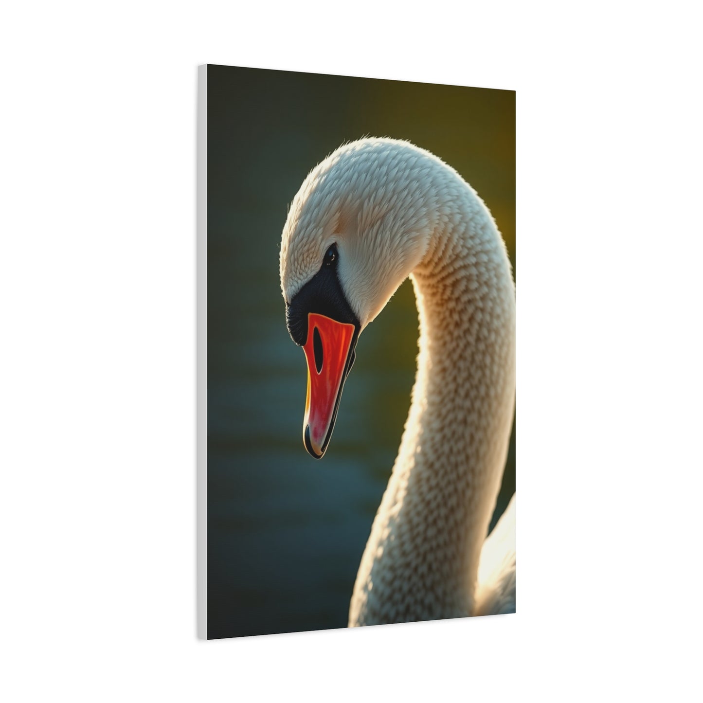 Swan Art Canvas Art 1 Wall Art & Canvas Print