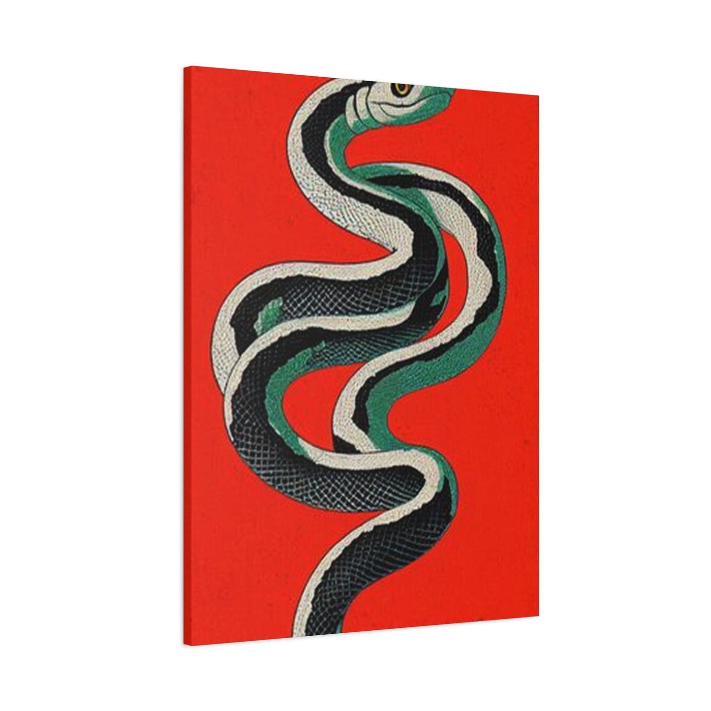 Snake's Wall Art & Canvas Prints