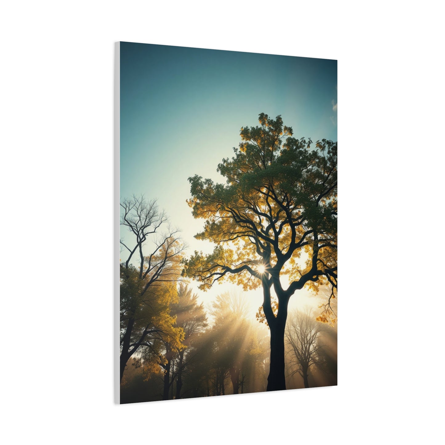 Serene Timberland Canvas Wall Art & Canvas Print