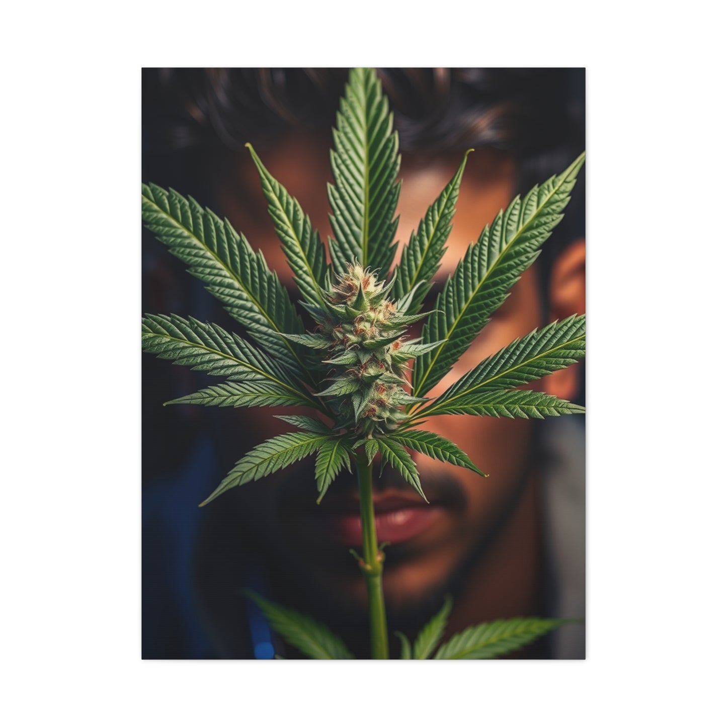 Marijuana Art Premium Canvas 19 Wall Art & Canvas Print