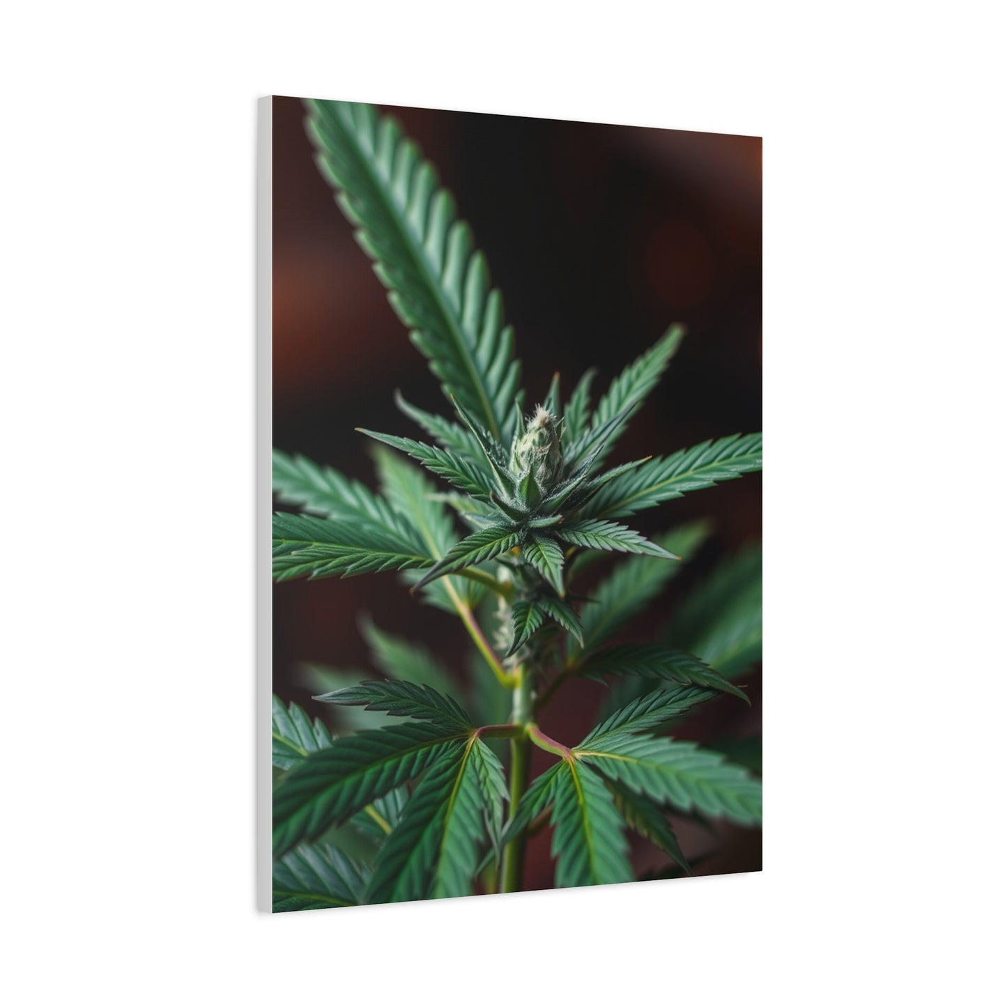 Marijuana Art Premium Canvas 20 Wall Art & Canvas Print