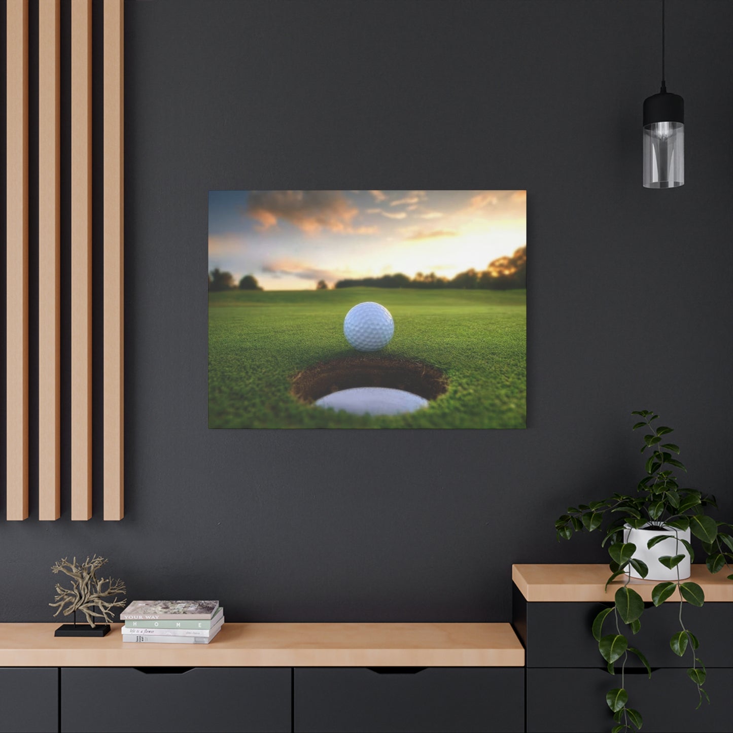 Golf Ball Cup Closeup Wall Art & Canvas Prints