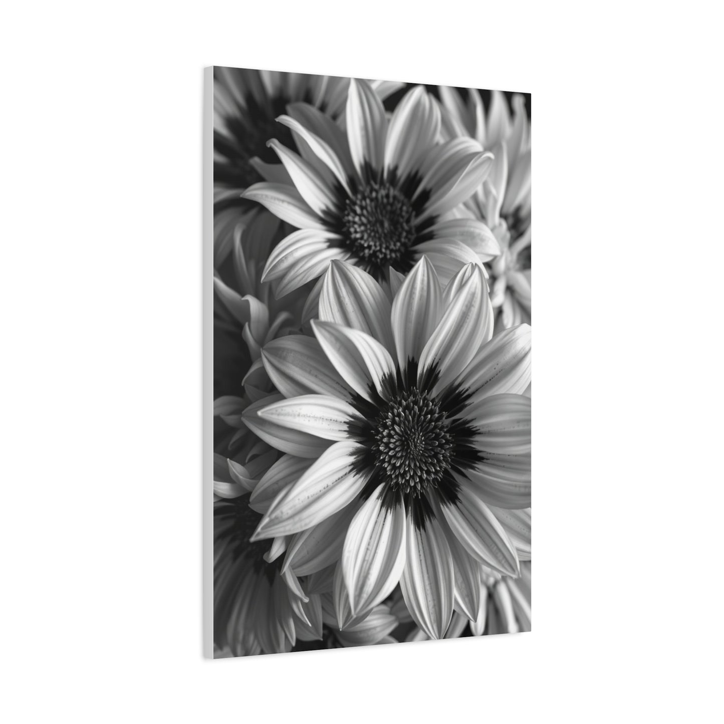 Ebon & Ivory Petal Harmony Wall Art & Canvas Print