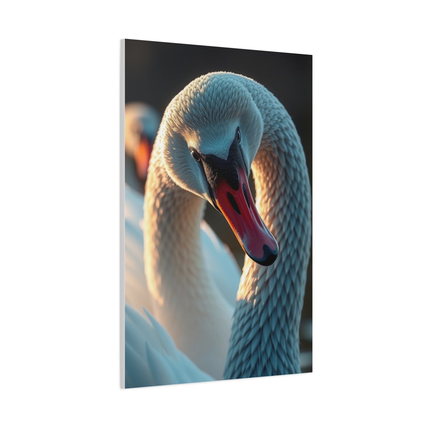 Swan Art Canvas Art 7 Wall Art & Canvas Print